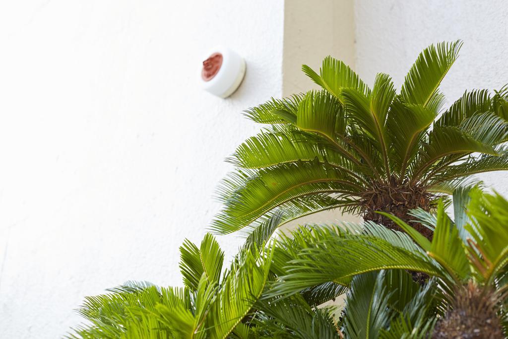Okinawa Sun Plaza Hotel Naha Dış mekan fotoğraf